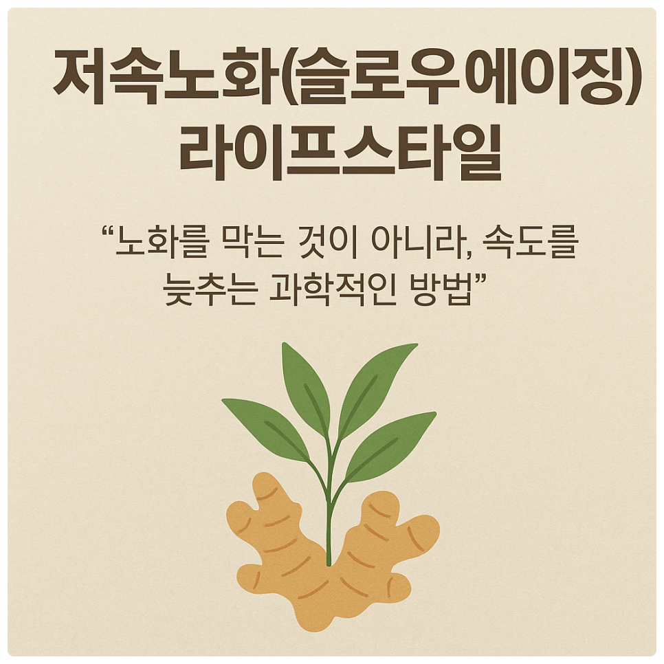 슬로우에이징
